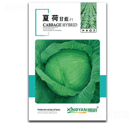 �ĺ�-���{(l��n)�N��-���зN�I(y��)