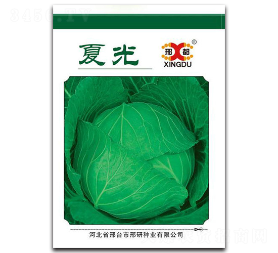 �Ĺ�-���{�N��-���зN�I(y��)