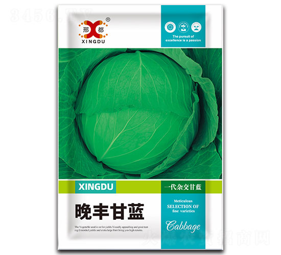 ���S-���{�N��-���зN�I(y��)