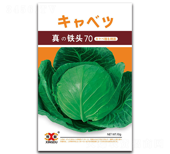 ���F�^70-���{(l��n)�N��-���зN�I(y��)