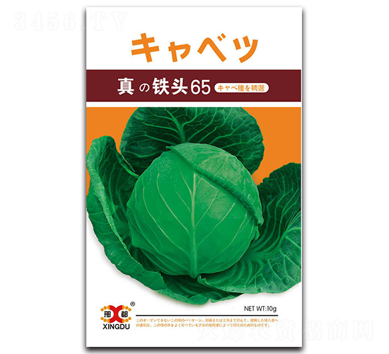 ���F�^65-���{(l��n)�N��-���зN�I(y��)