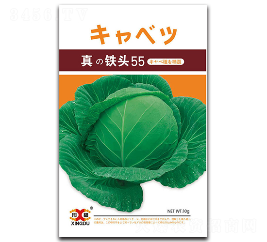 ���F�^55-���{(l��n)�N��-���зN�I(y��)