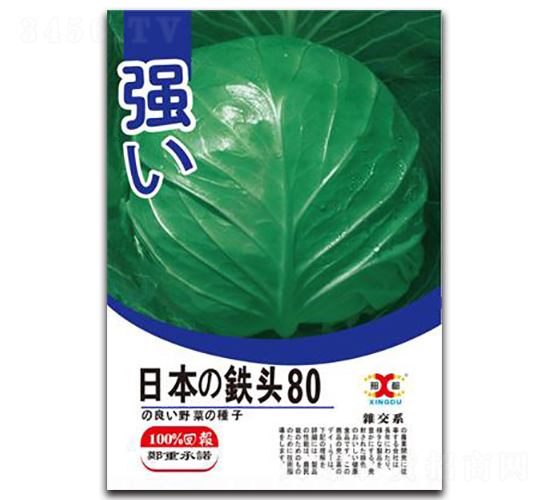 �ձ��F�^80-���{�N��-���зN�I(y��)