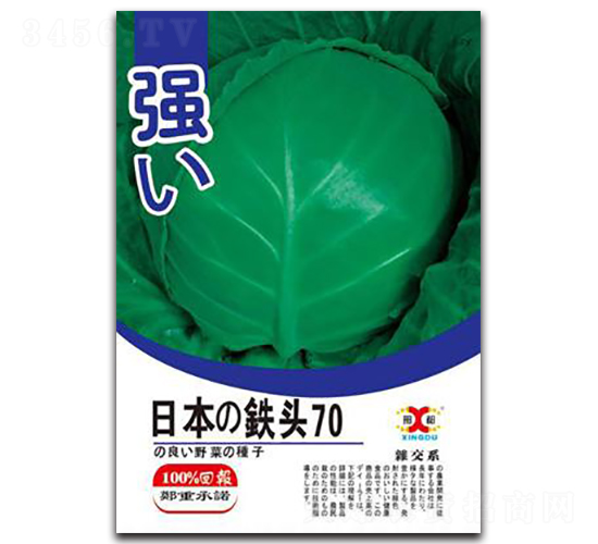 �ձ��F�^70-���{(l��n)�N��-���зN�I(y��)