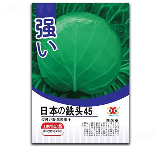 �ձ��F�^45-���{(l��n)�N��-���зN�I(y��)