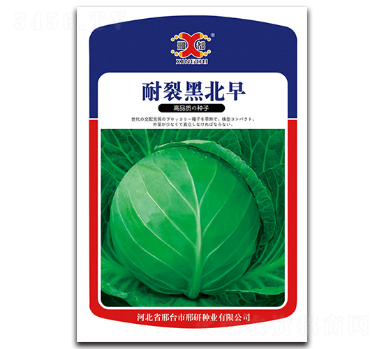 ���Ѻڱ���-���{(l��n)�N��-���зN�I(y��)