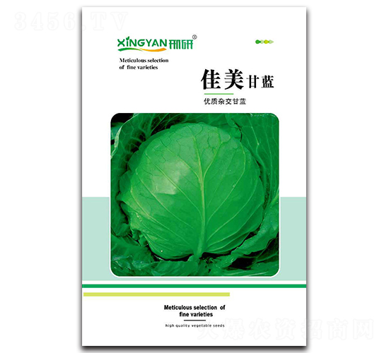 ����-���{�N��-���зN�I(y��)