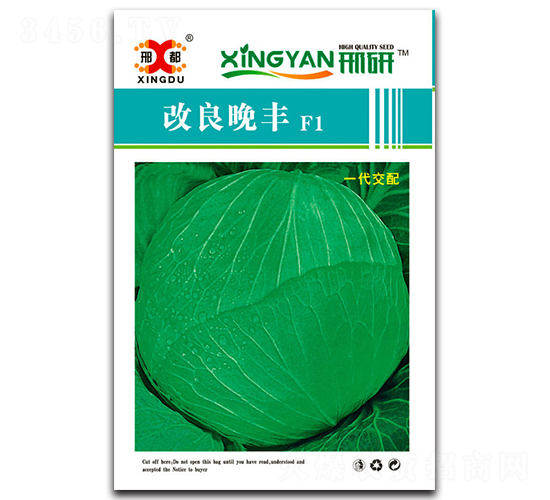 �������S-���{�N��-���зN�I(y��)