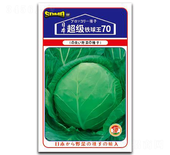 ����(j��)�F����70-���{(l��n)�N��-���зN�I(y��)