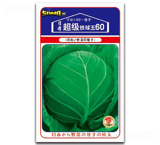 ����(j��)�F����60-���{(l��n)�N��-���зN�I(y��)