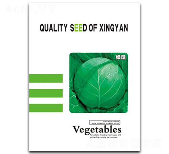 �G��-���{(l��n)�N��-���зN�I(y��)