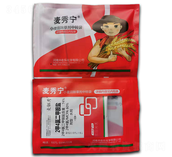 С�����݄��ײ�-���㌎-�S�՘�