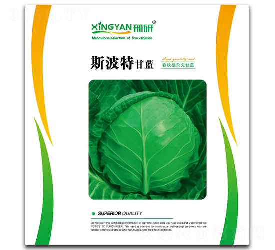 ˹����-���{(l��n)�N��-���зN�I(y��)