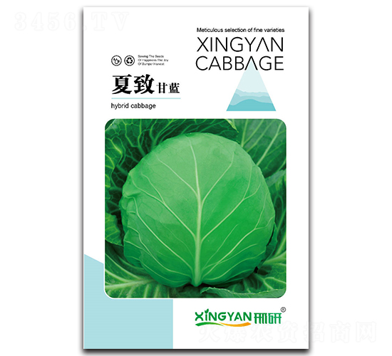 ����-���{(l��n)�N��-���зN�I(y��)