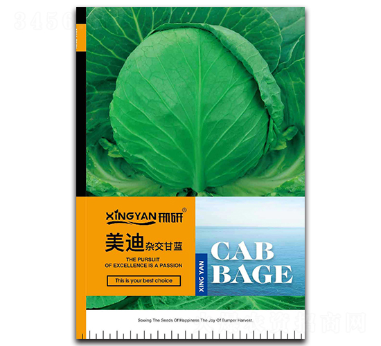 ����-���{�N��-���зN�I(y��)