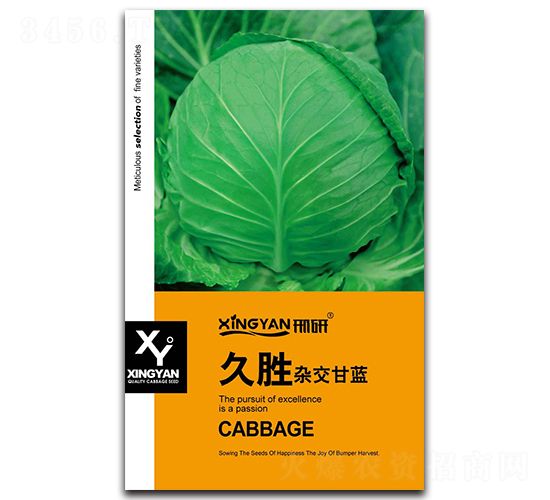 �Ä�-���{(l��n)�N��-���зN�I(y��)