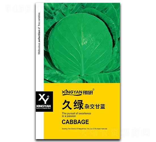 �þG-���{(l��n)�N��-���зN�I(y��)