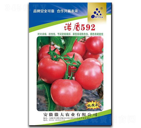 �Z��592�������_����ͣ�-���ѷN��-�մ��r(n��ng)�I(y��)