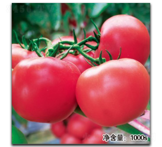 �Z��1023-���ѷN��-�մ��r(n��ng)�I(y��)