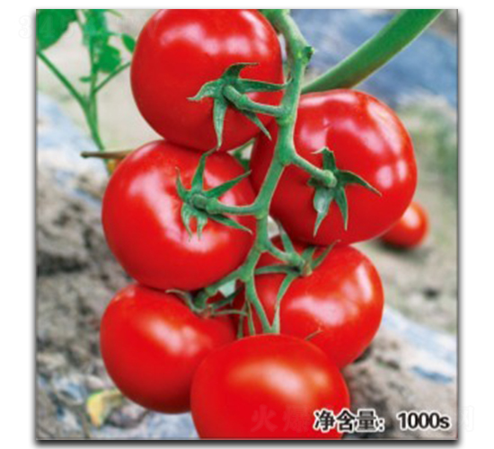 �Z��0470-���ѷN��-�մ��r(n��ng)�I(y��)