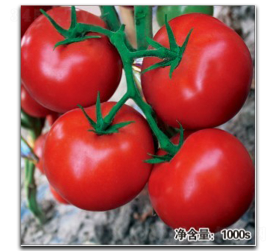 ��Ӱ��HT11140��-���ѷN��-�մ��r(n��ng)�I(y��)