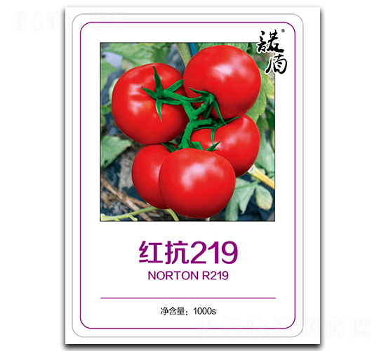 �t��219���o�޼t�����ѣ�-���ѷN��-�մ��r(n��ng)�I(y��)