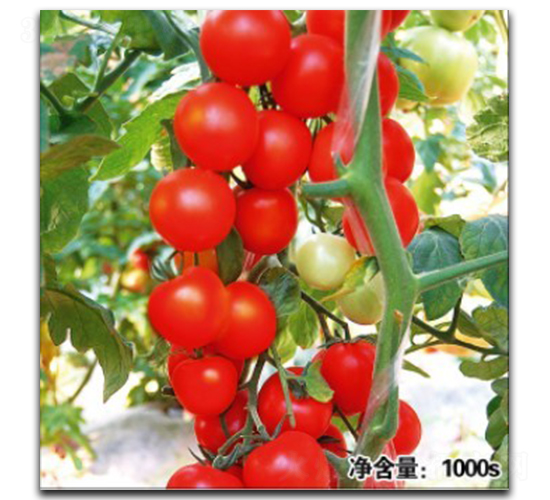 �Z��11048-���ѷN��-�մ��r(n��ng)�I(y��)