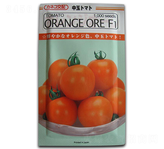 ���L�ߠ���-���ѷN��-����N�I(y��)