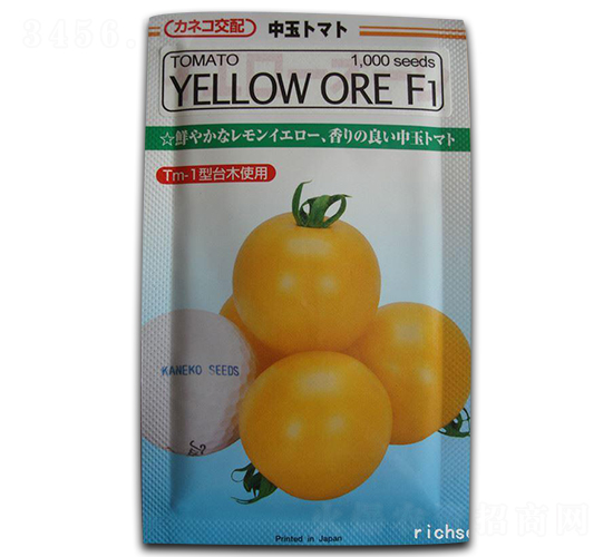 �S�L�ߠ���-���ѷN��-����N�I(y��)