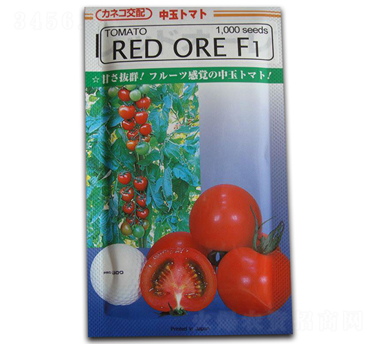 �t�L�ߠ���-���ѷN��-����N�I(y��)