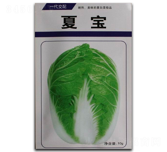 �Č�-�ײ˷N��-����N�I(y��)