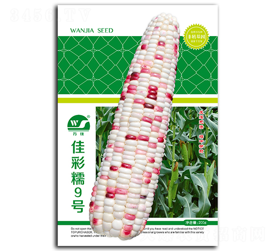 �Ѳ�Ŵ9̖-���׷N��-����N�I(y��)