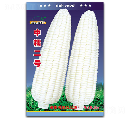 ��Ŵ��̖(h��o)-���׷N��-����N�I(y��)