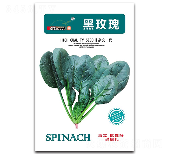 ��õ��-���˷N��-����N�I(y��)