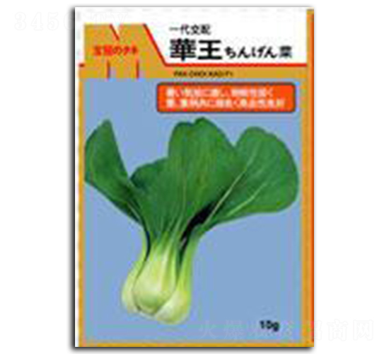 �A��-��˷N��-����N�I(y��)