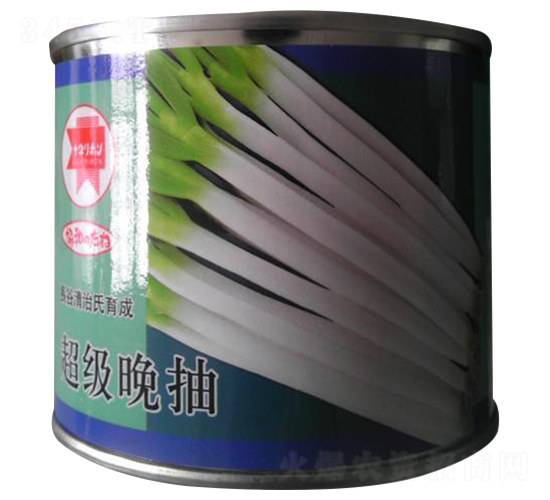 ��������-���[�N��-����N�I(y��)