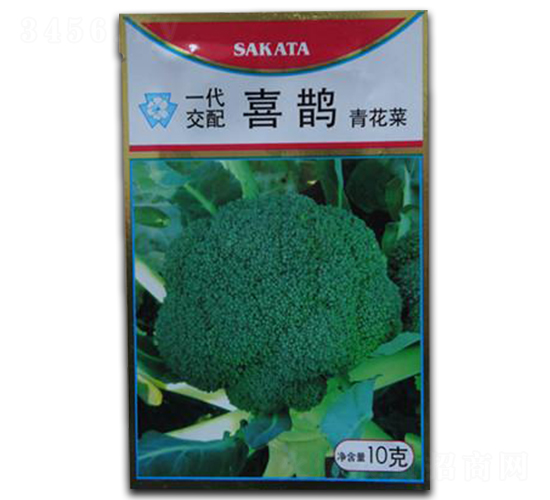 ϲ�o-���m���N��-����N�I(y��)