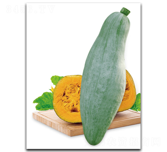 ����S-1000-�ϹϷN��-����N��