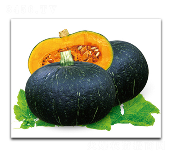 �ڌ�����S-3-�ϹϷN��-����N��