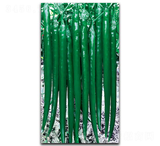 �������G-�����N��-����N��