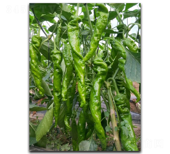 ����һ�y(t��ng)����-�����N��-����N��