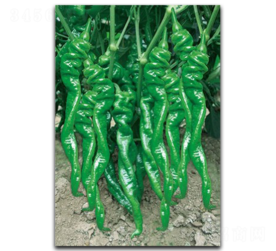 ����S100-�����N��-����N��