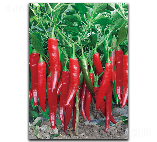 ����S-318-�����N��-����N��