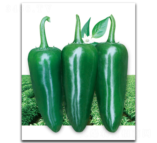 �۽�����-�����N��-����N��