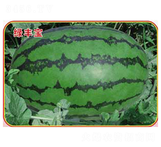 �G�S��-���ϷN��-�s�S�N�I(y��)