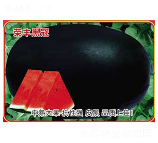 �s�S�ڹ�-���ϷN��-�s�S�N�I(y��)