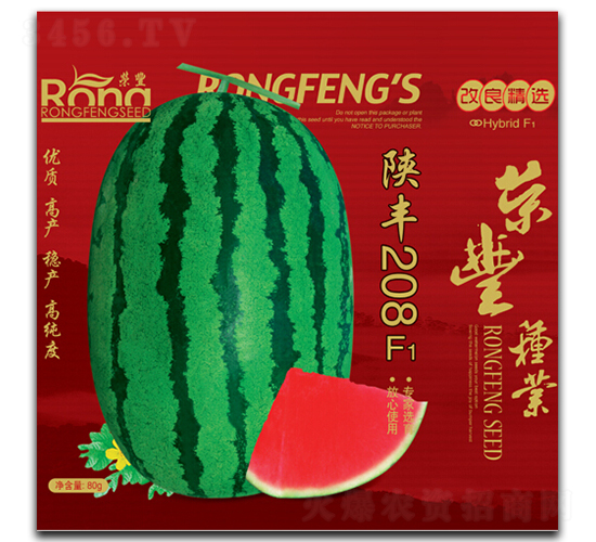 ��S208-���ϷN��-�s�S�N�I(y��)