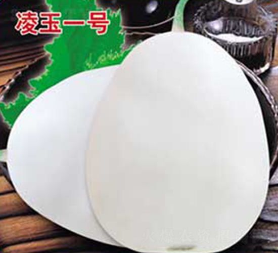 ����һ̖(h��o)-��ϷN��-�s�S�N�I(y��)