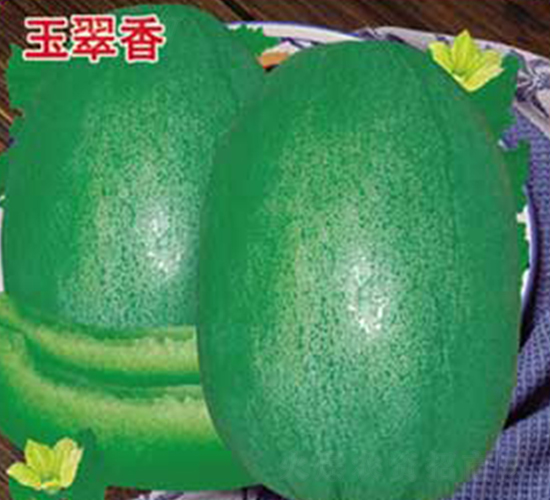 �����-��ϷN��-�s�S�N�I(y��)