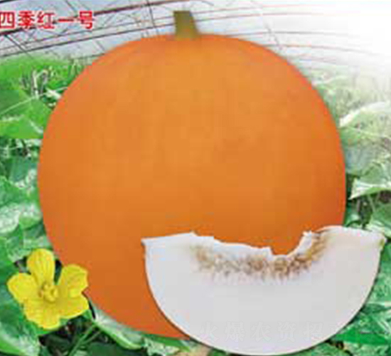 �ļ��tһ̖-��ϷN��-�s�S�N�I(y��)